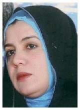 ضحى المل